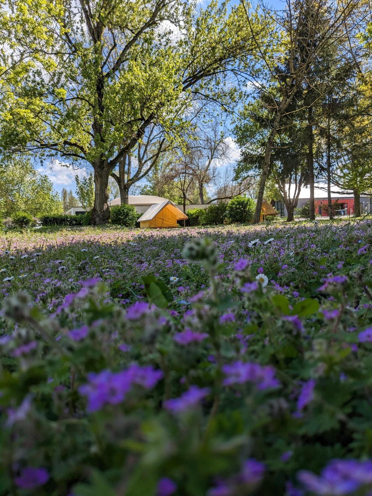 Camping Onlycamp Tours Val De Loire Saint-Avertin Buitenkant foto